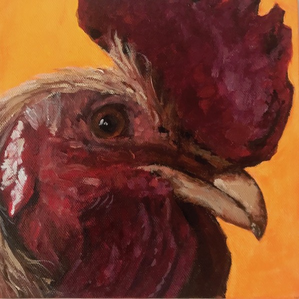 Tierportrait Hahn gemalt in Öl/Acryl, 20x20 hell-oranger Hintergrund